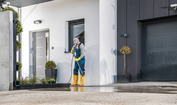 Best Winterizing Services  in Walled Lake, MI